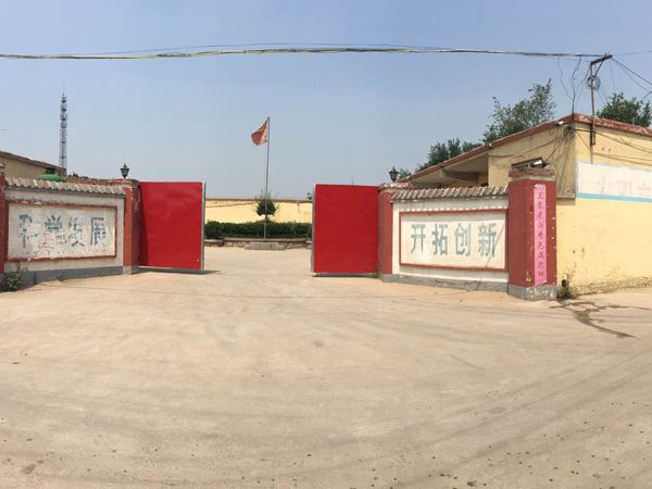 廠(chǎng)區環(huán)境